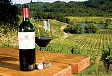 Top rated imported wine