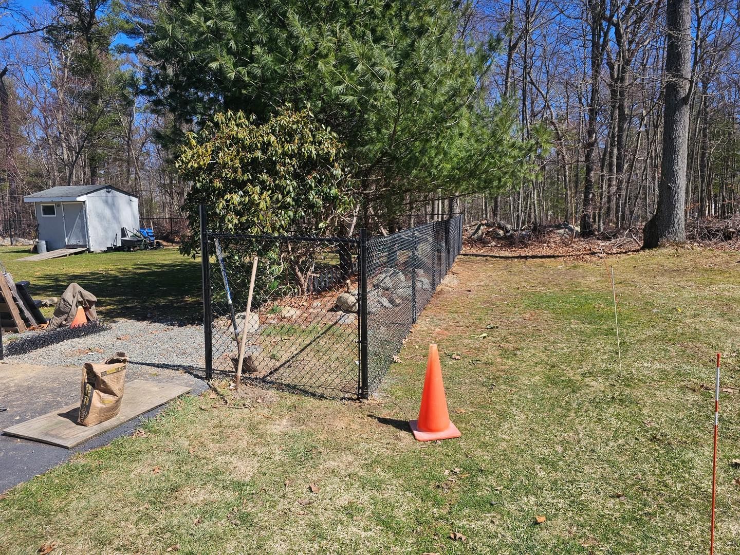 Backyard with a chain-link gate, orange cone, grass, trees, and a small shed in the distance