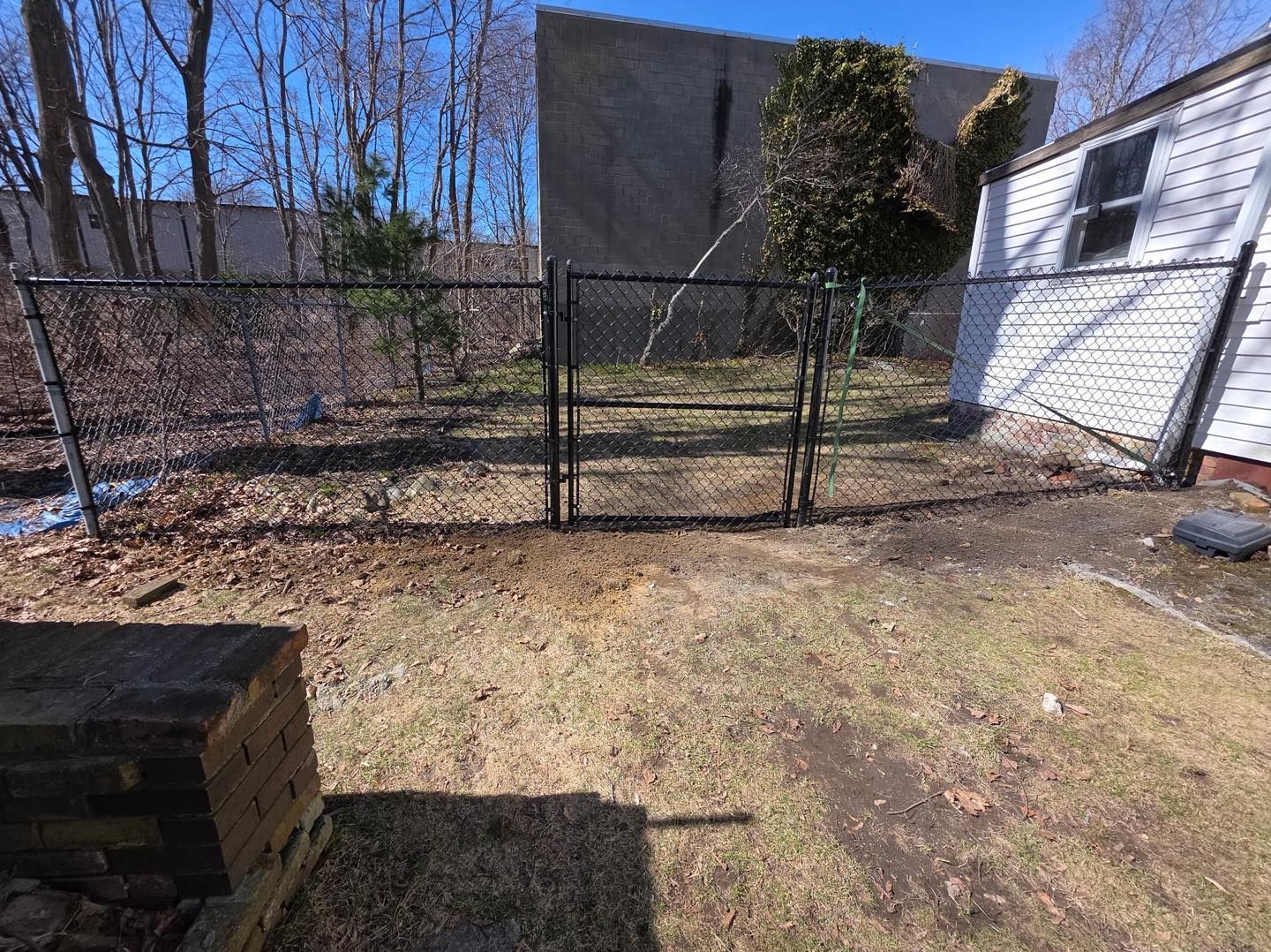 Backyard with chain-link fence, gate, bare trees, and white shed in sunlight
