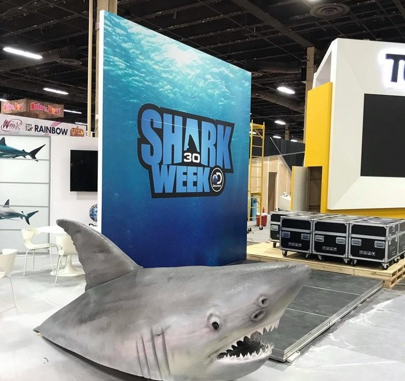 Large shark prop in front of