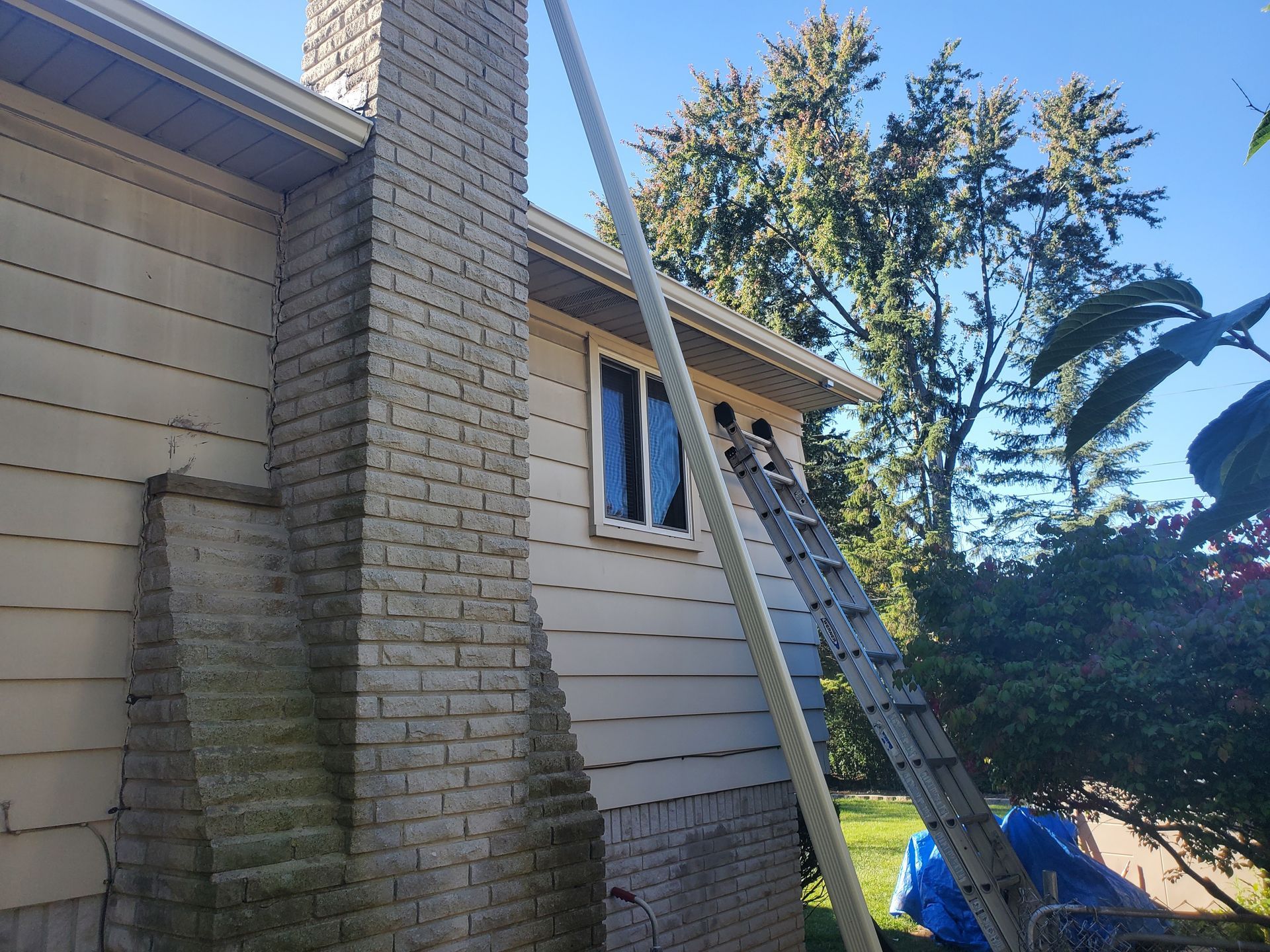 A man is standing on a ladder on the side of a house.