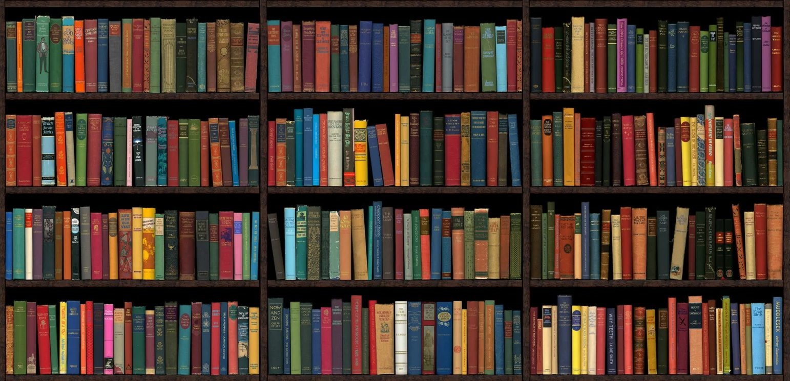 Bookshelves filled with colorful, antique books.