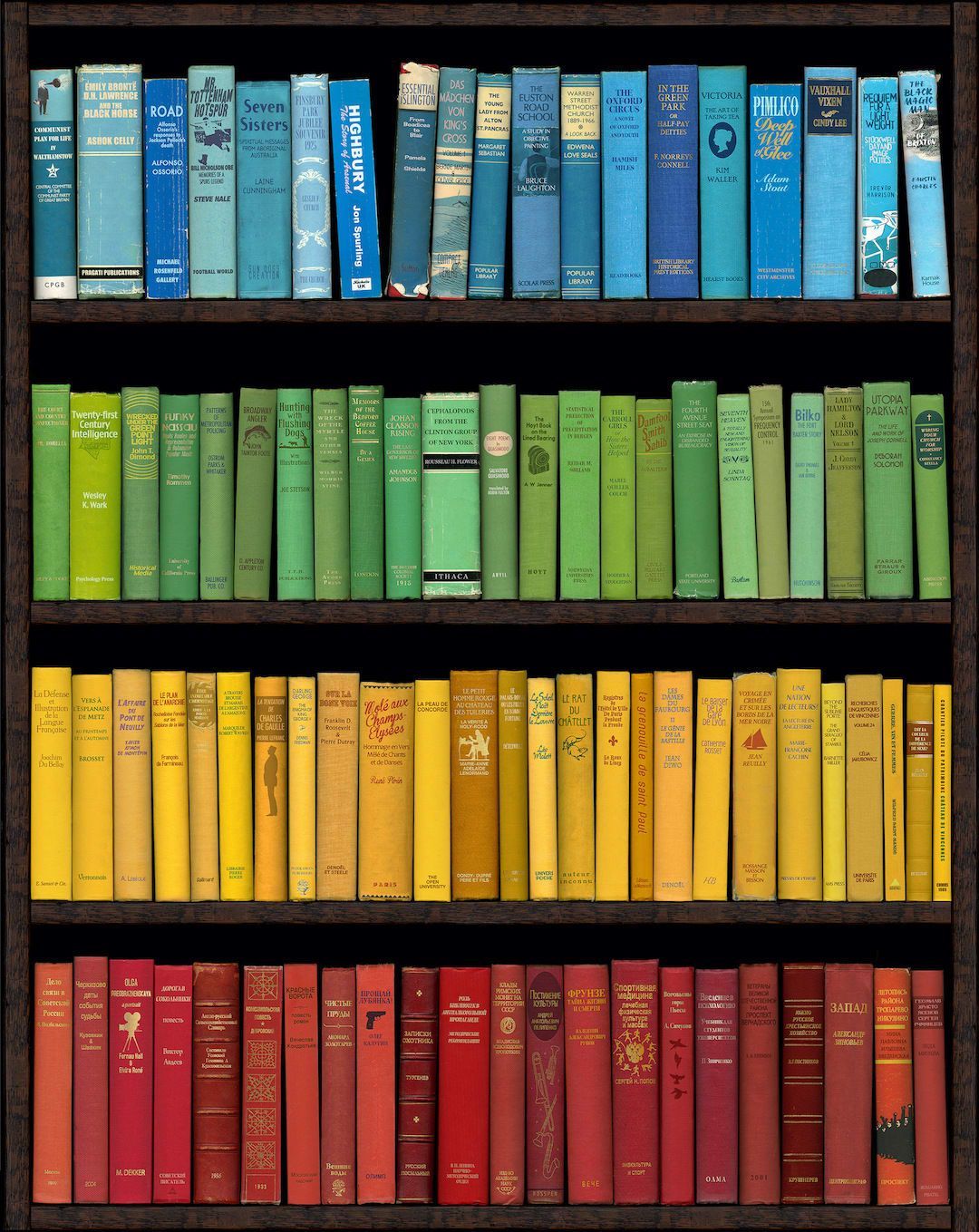 Bookshelf with rows of books arranged by color: blue, green, yellow, and red.
