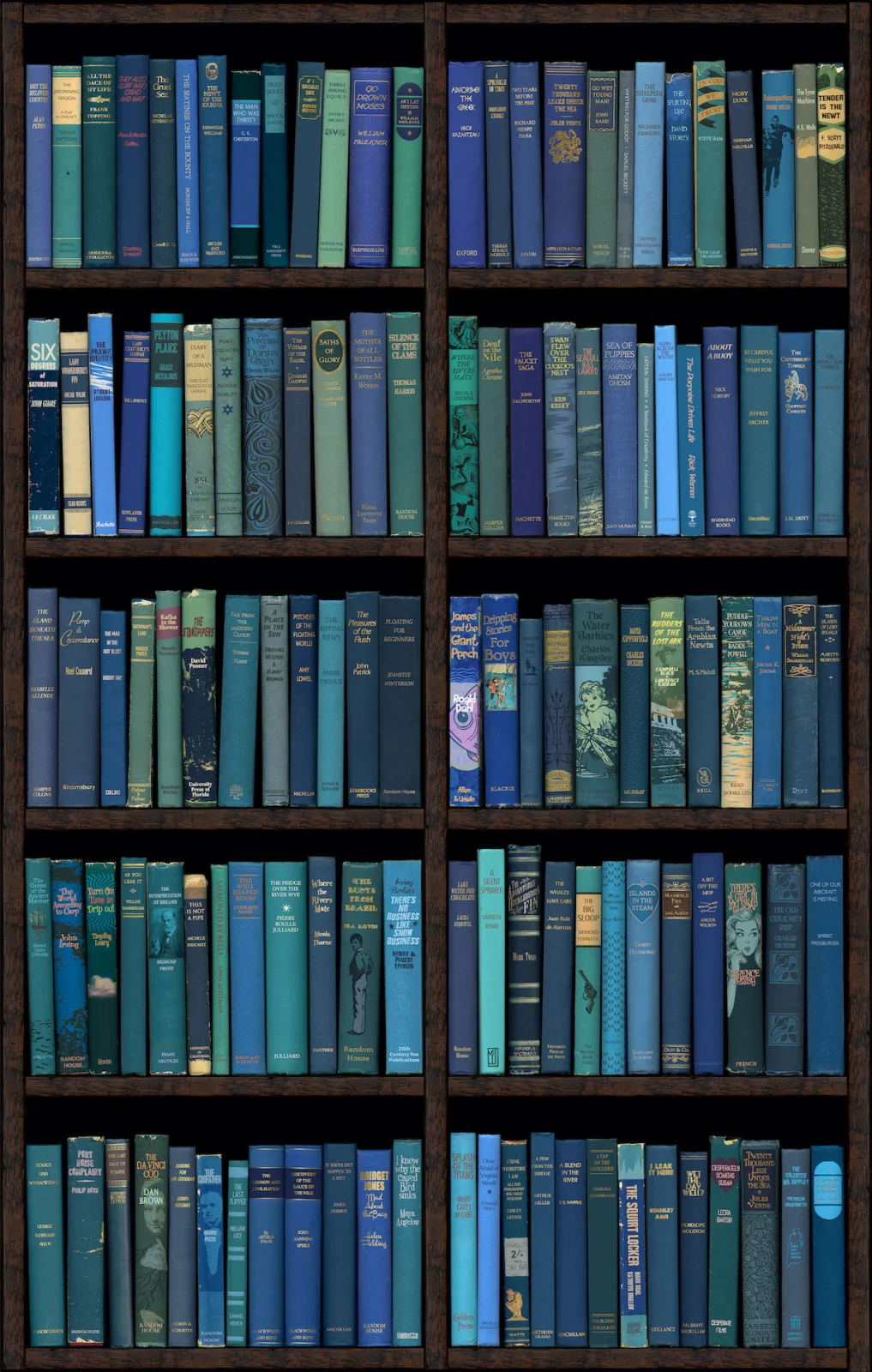 Bookshelves filled with books in shades of blue.