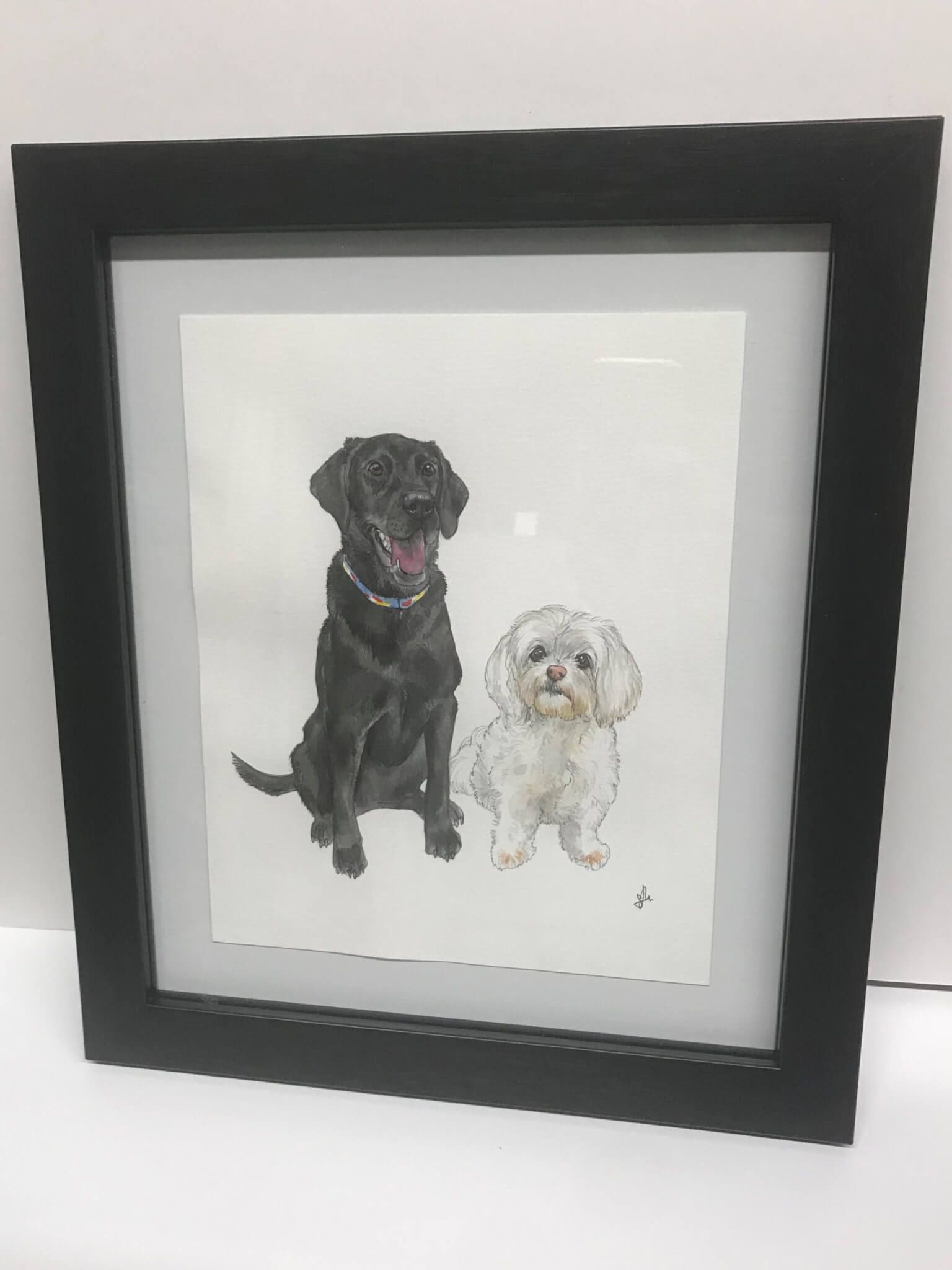 Watercolor painting of a black Labrador and a white Maltese dog, framed in black.