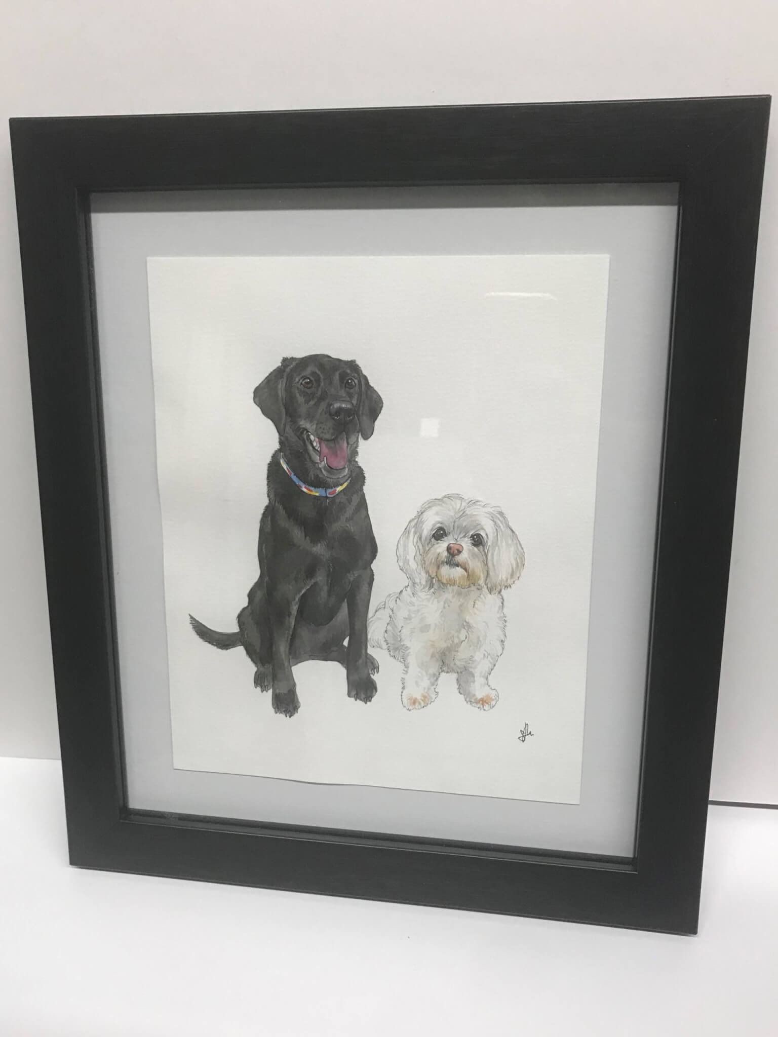 Framed watercolor portrait of two dogs: a black Labrador and a white Maltese, on a white background.