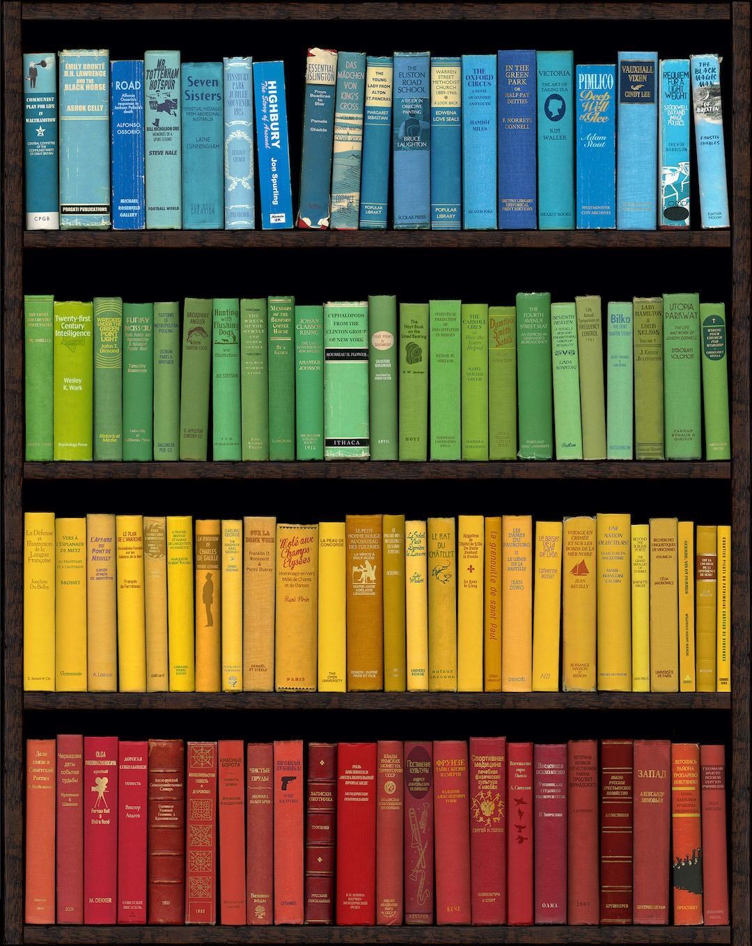 Books arranged in color order on a dark wooden bookshelf: blue, green, yellow, and red.