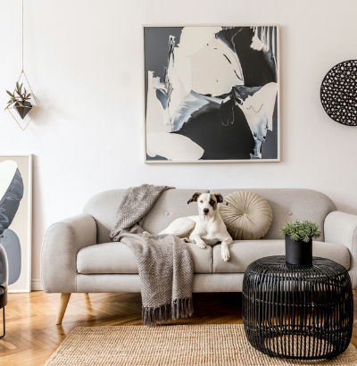 Dog lounging on a grey sofa in a modern living room, art and decor.