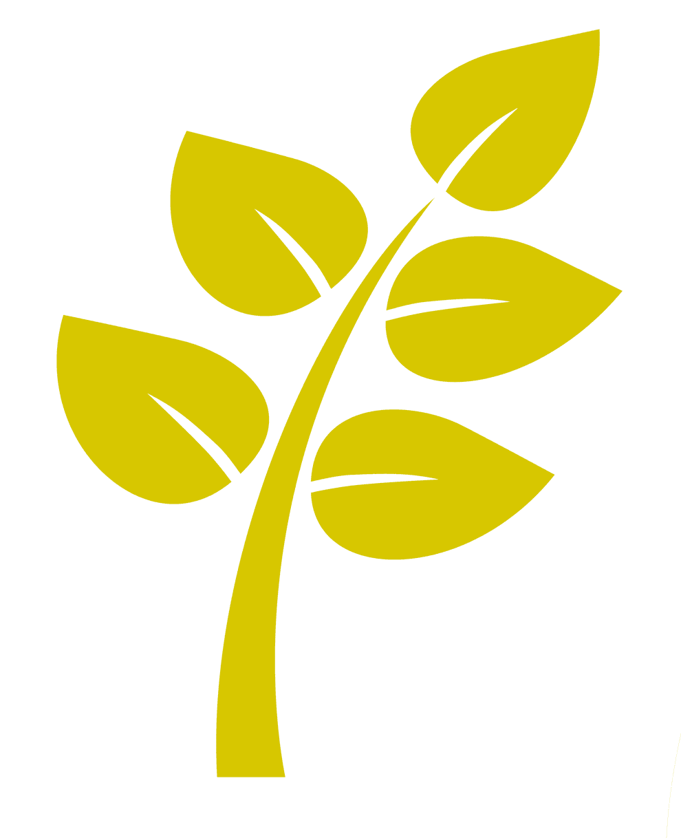 Learn more about massages Leaf icon