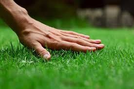 Hand touching vibrant green grass outdoors.