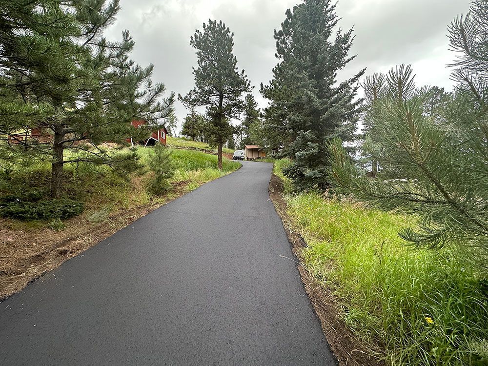 a road surrounded by trees and grass on a cloudy day.