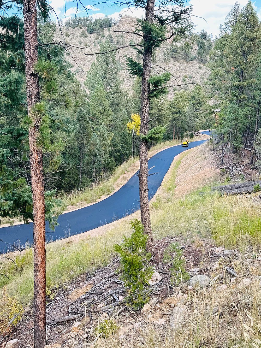 a curvy road in the middle of a forest surrounded by trees.