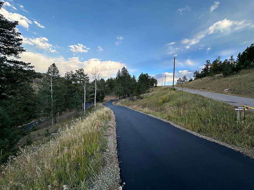 a road with a lot of grass on the side of it.