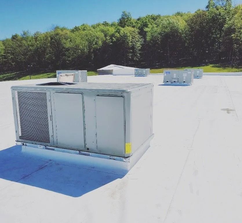 Rooftop with HVAC units against a sunny sky, and trees in the background.