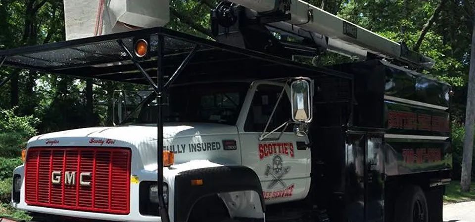 Tree Services Truck