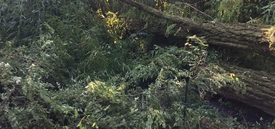 Land Clearing Services