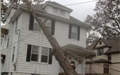 Storm Damage Cleanup