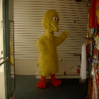 Downsize_Thumbnail_BIG BIRD (2)