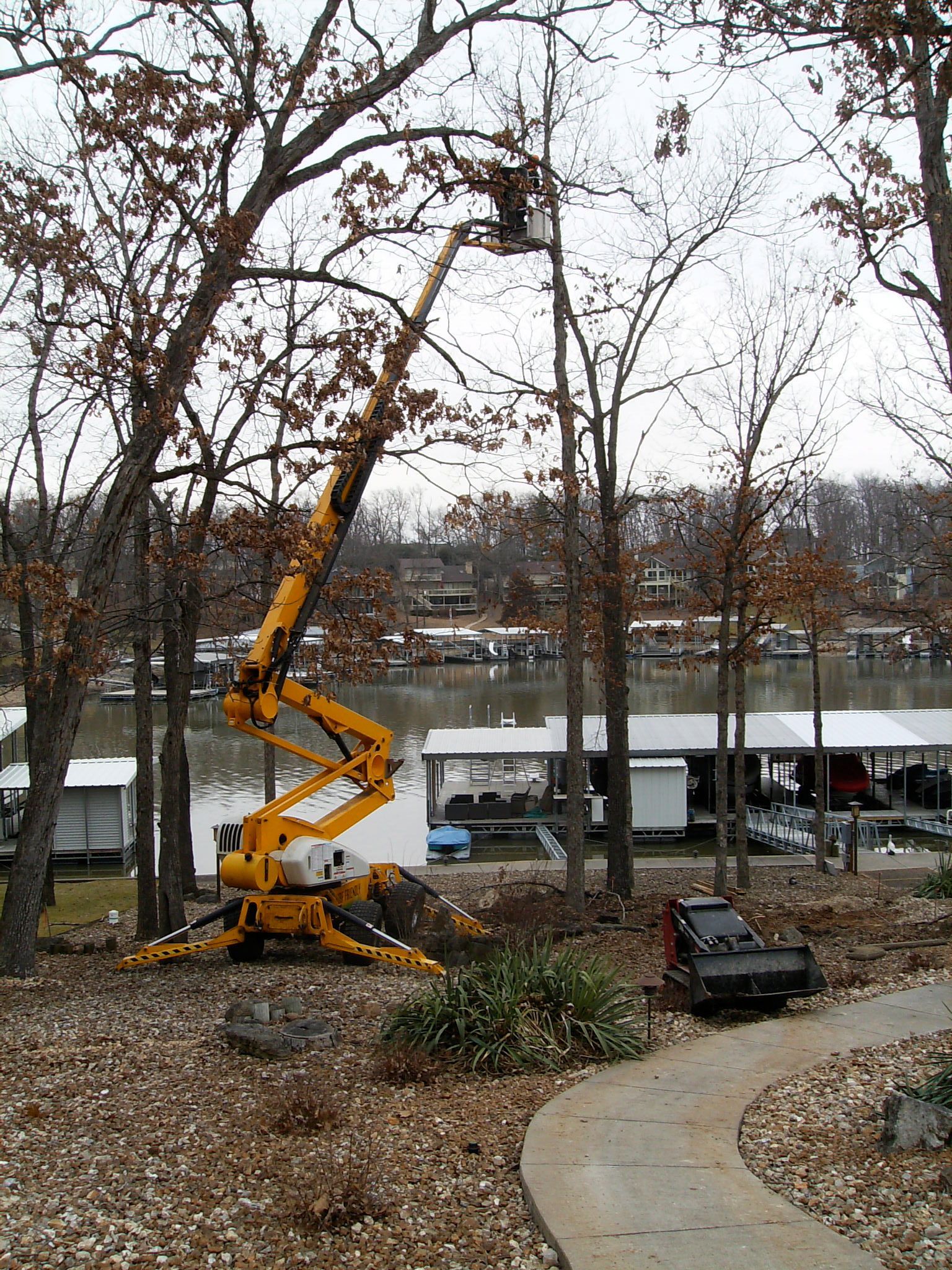 Yellow excavator pruning a large tree beside a river, with fallen leaves and a parked car nearby.