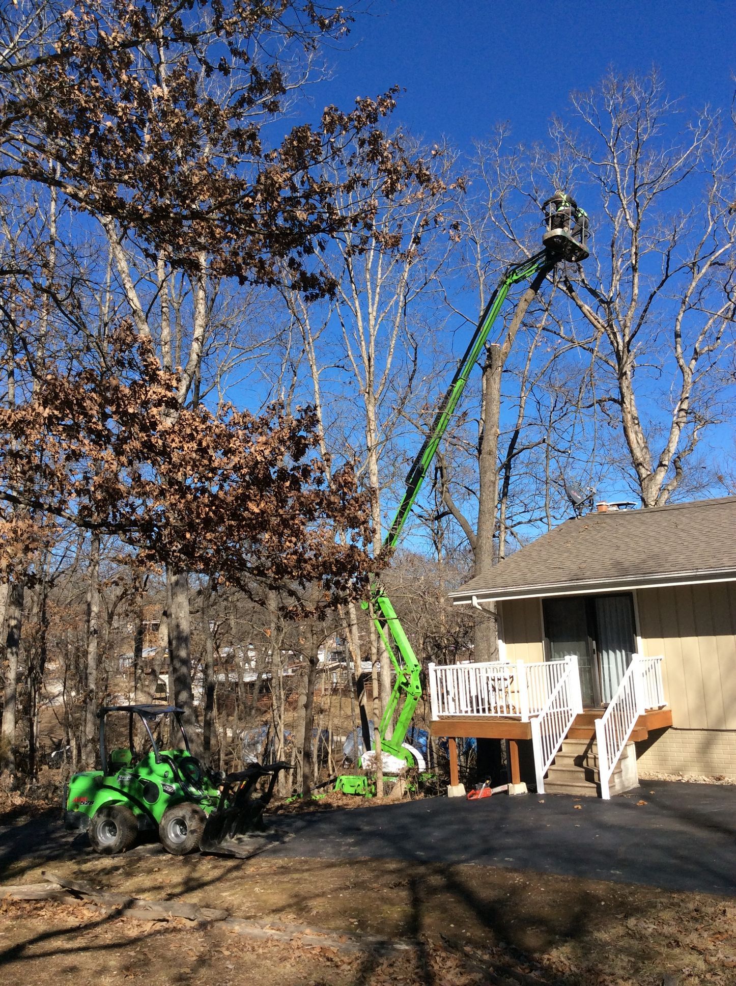 Green tree trimmer lifting worker in bucket beside house and trees in autumn yard