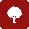 Tree Service Icon