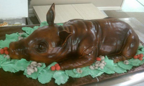 Special Occasion Cake