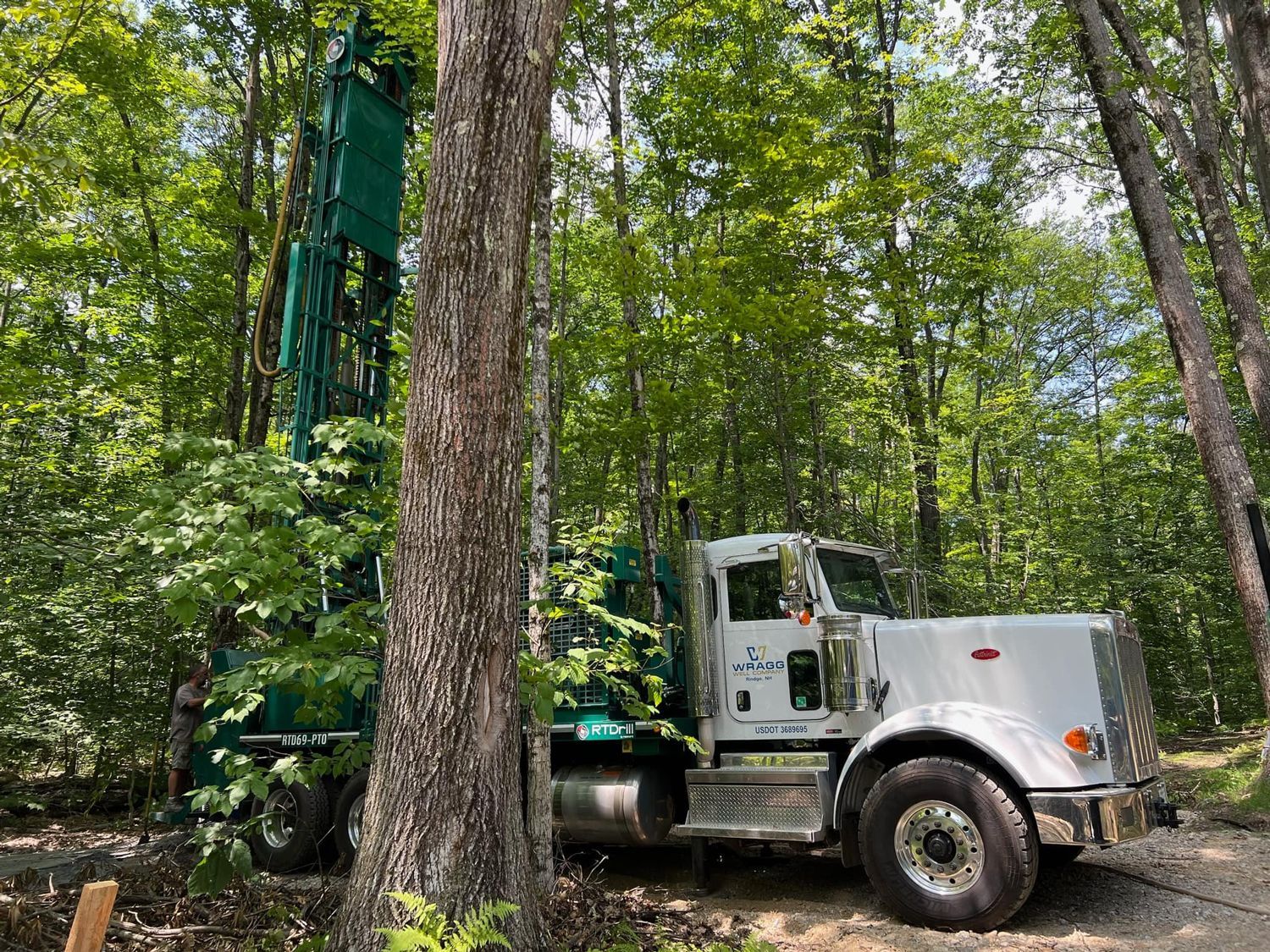A white truck is parked next to a tree in the woods.