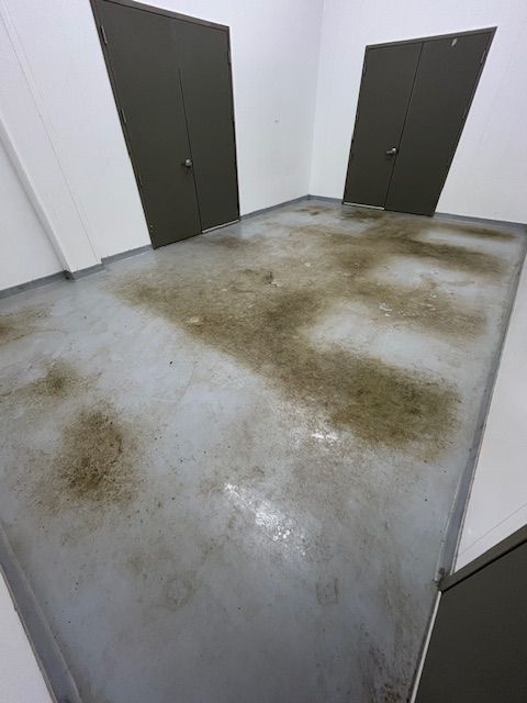 A dirty floor in a room with two doors.