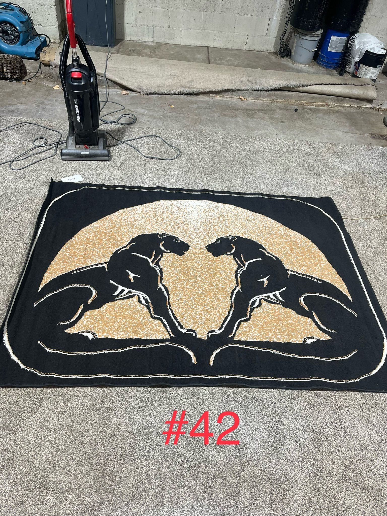 ACE Cleaning &Restoration rug