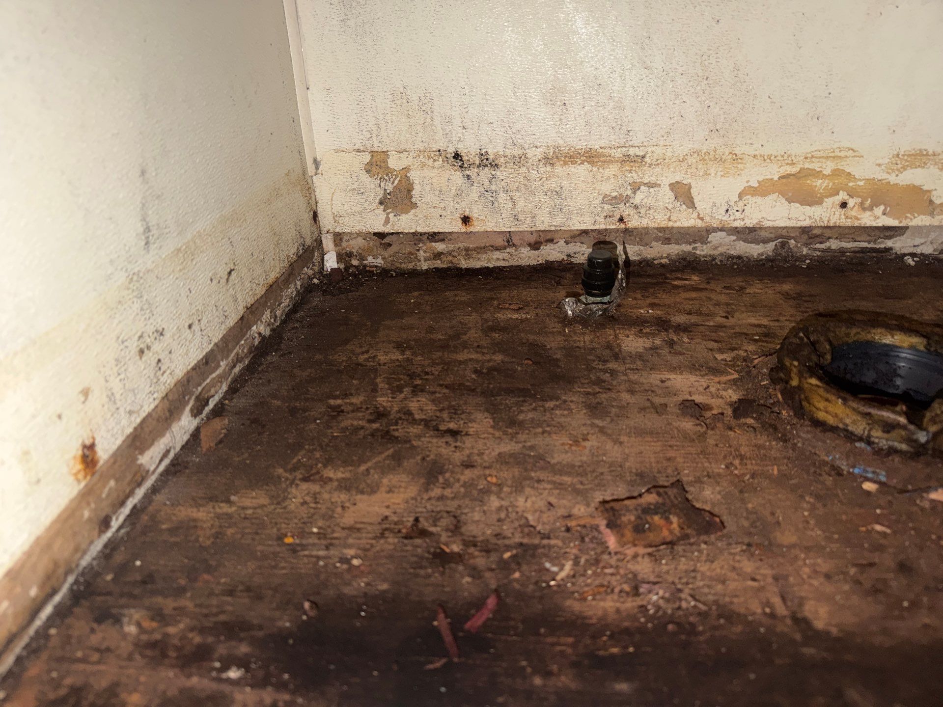 Moldy, water-damaged room corner with stained floor and peeling walls.
