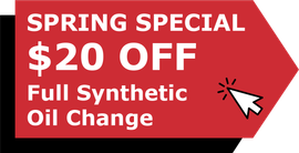 Spring Special $20 Off