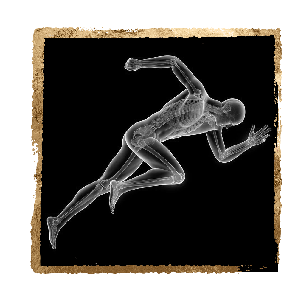 X-ray view of a runner in motion against a black background
