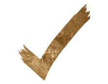 A gold check mark with a brush stroke on a white background.