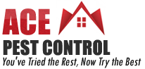Ace Pest Control logo