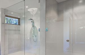 Shower Door