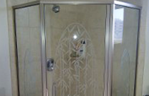 Shower Door