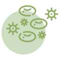 Green circle with oval shapes and star-like particles, likely depicting bacteria.