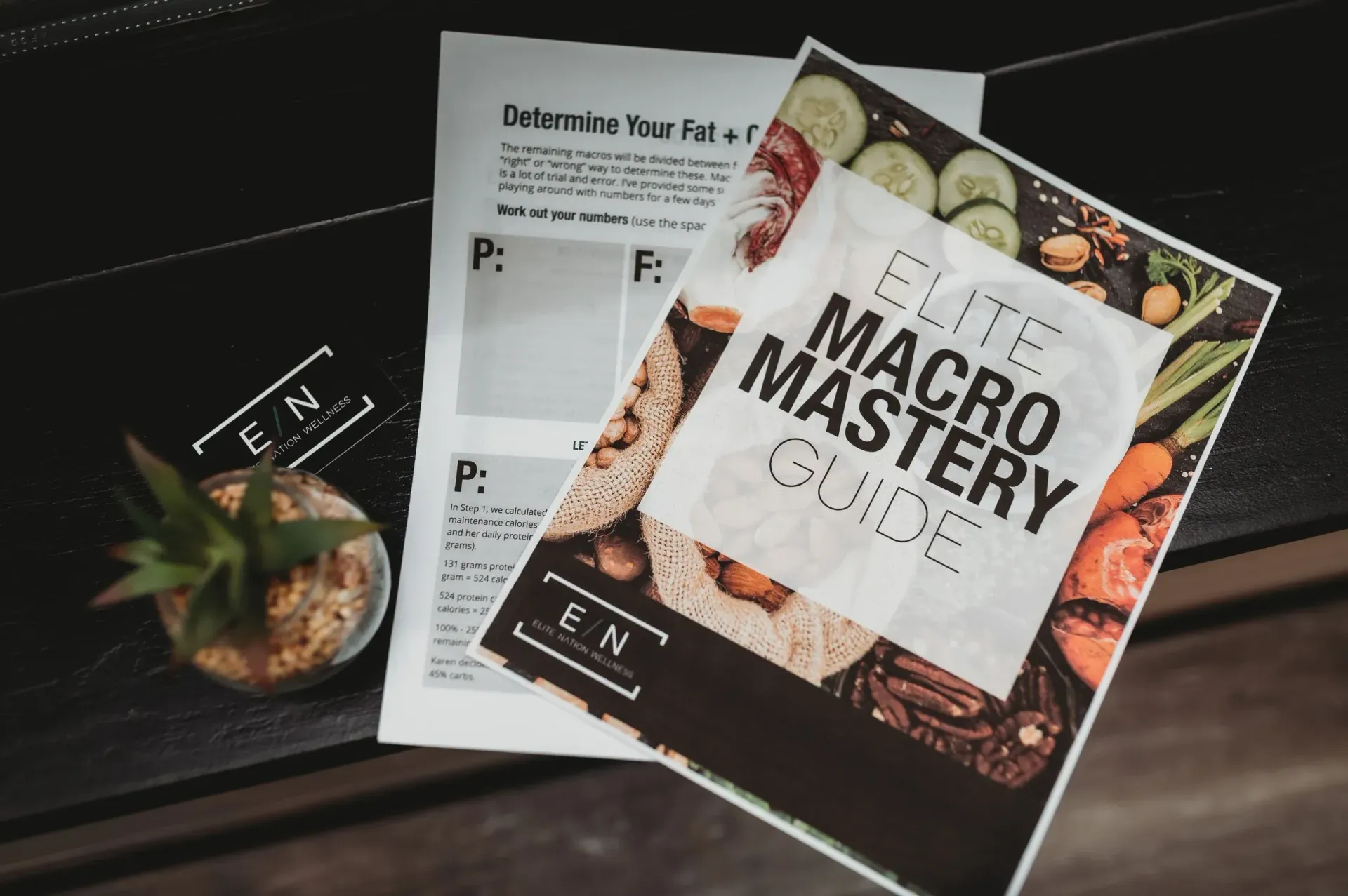 The Elite Macro Mastery Guide is on a table next to a plant and a worksheet.