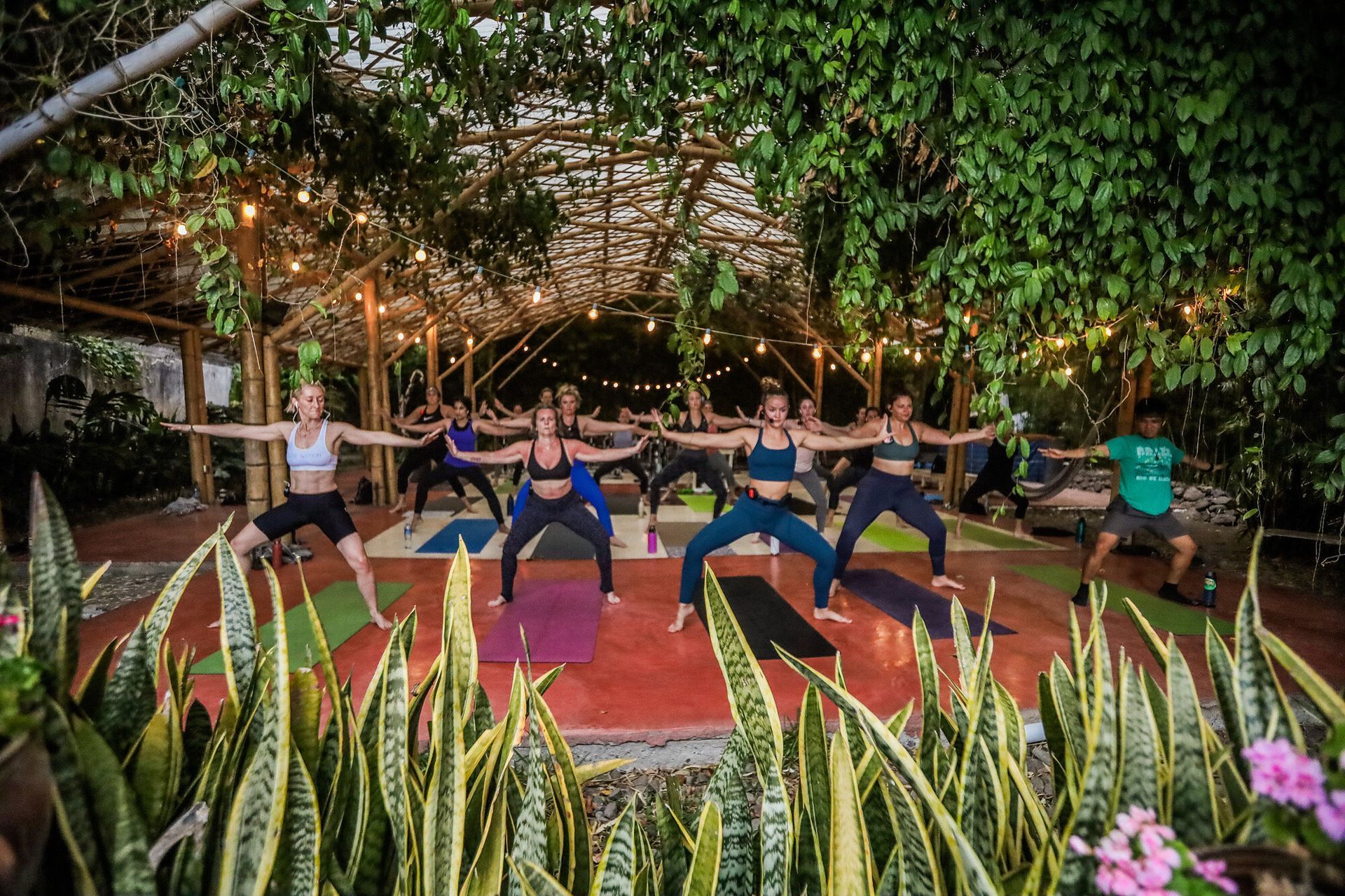 People doing yoga outdoors under a bamboo structure with string lights. Plants frame the foreground.