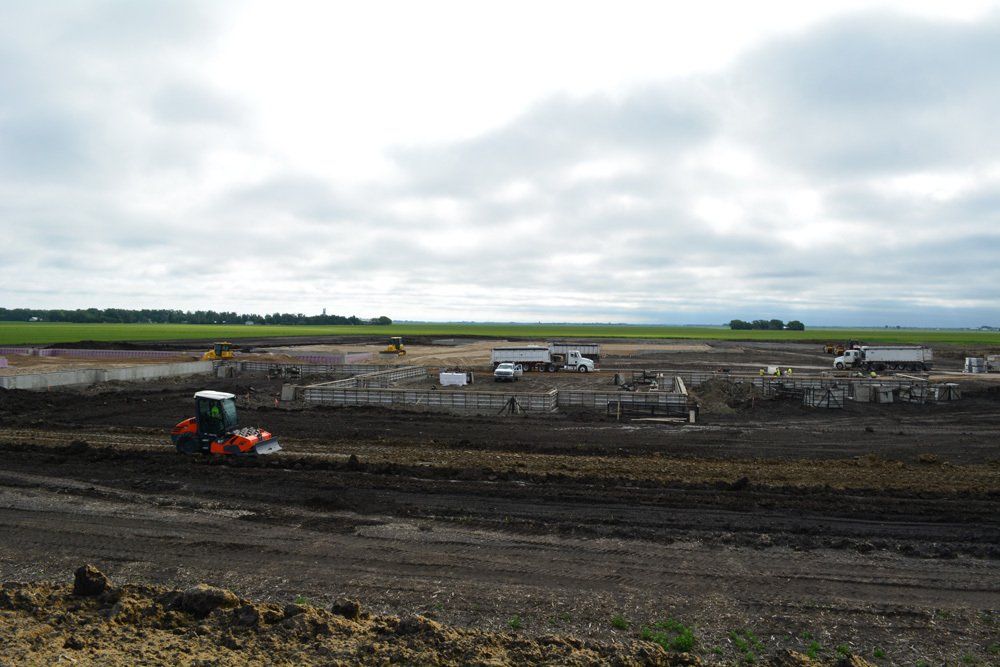 Dorothy Dodds Elementar