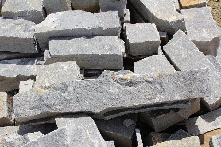 Clarksville Grey Chop