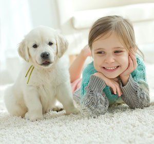 Pets and children protection