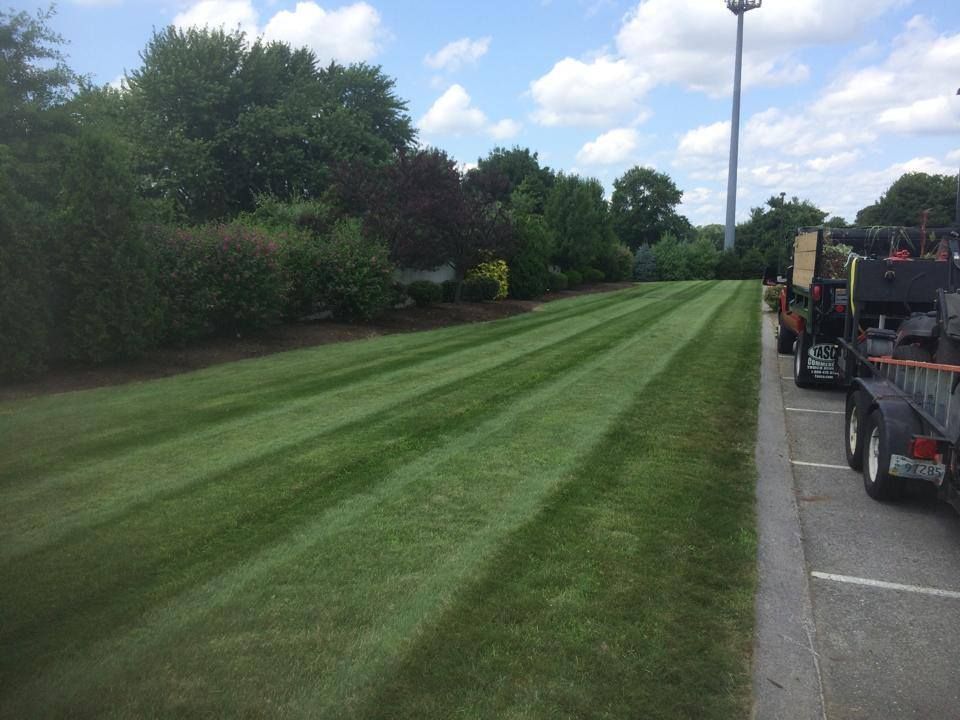 Freshly mowed lawn with stripes, surrounded by trees and parked equipment under a blue sky.