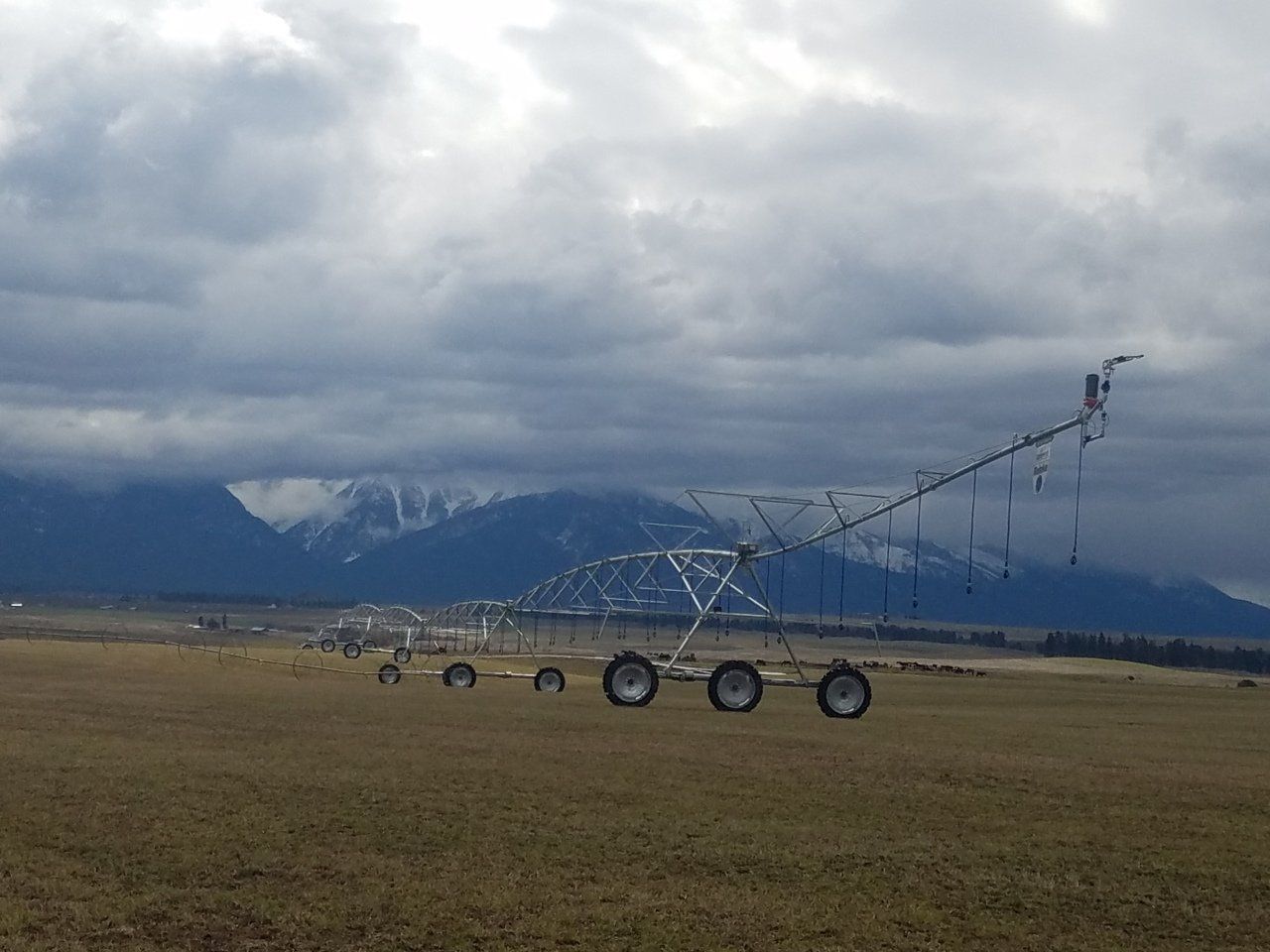 Irrigation system project