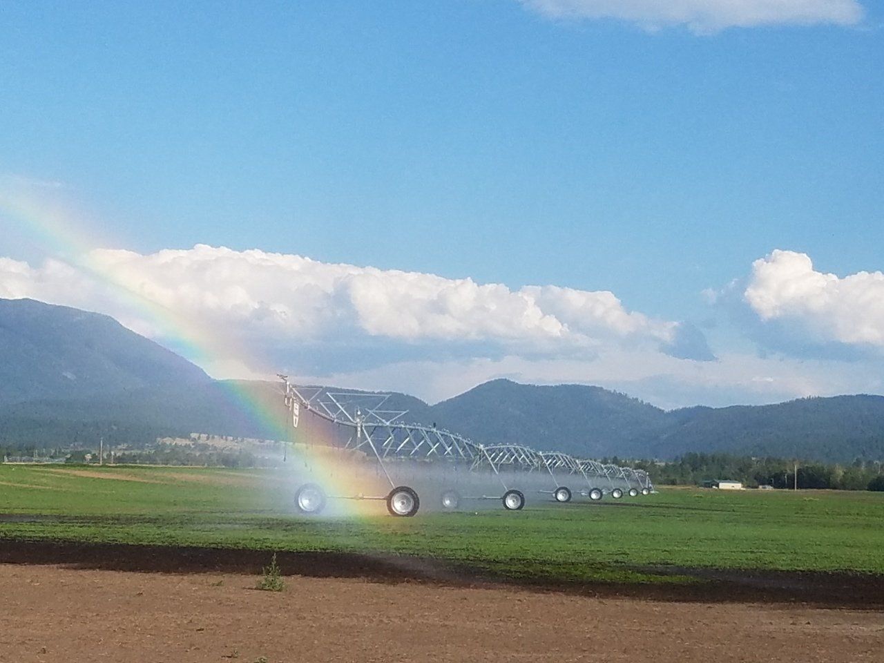 Irrigation system project