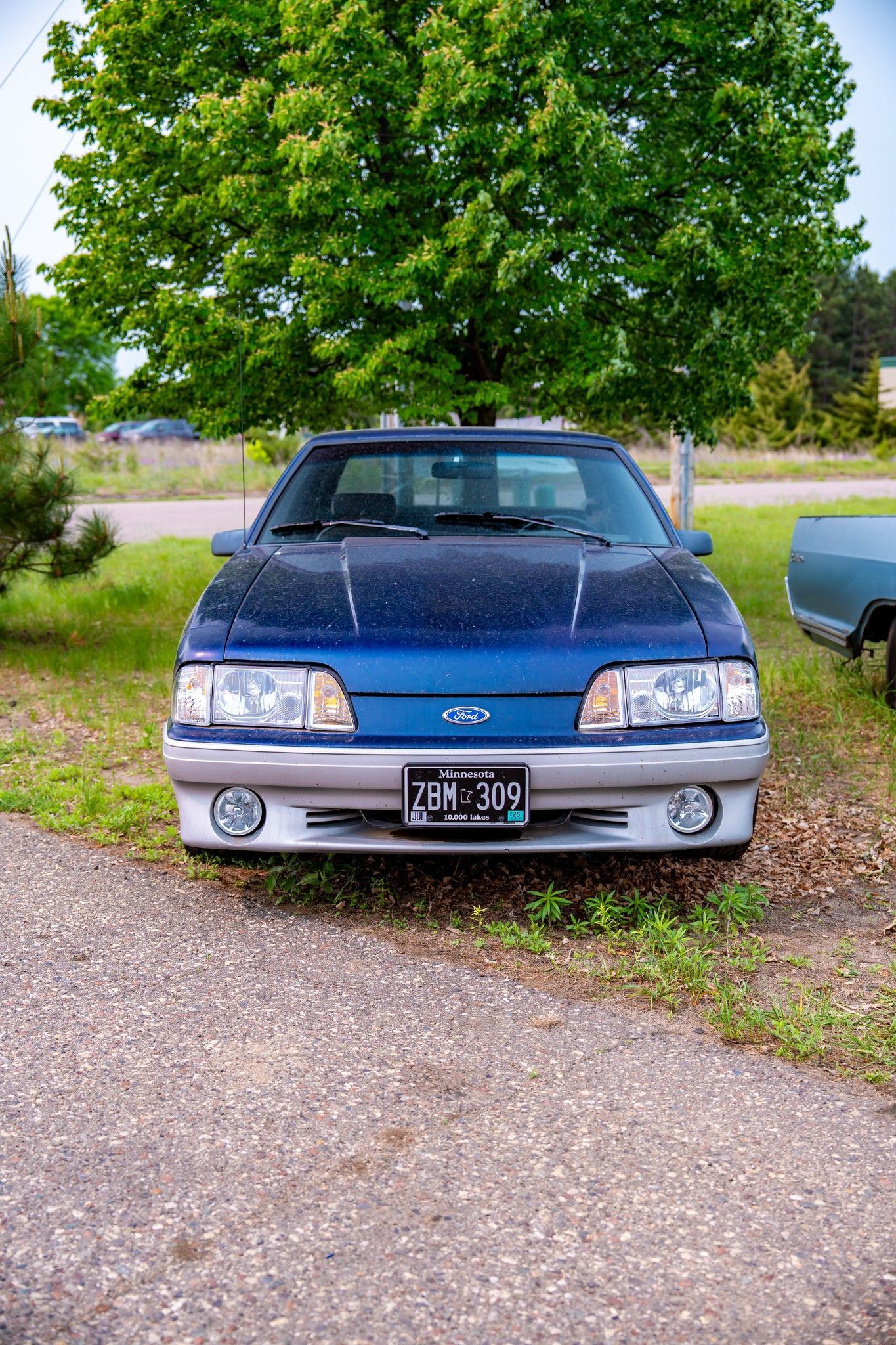 Blue Ford Mustang, gray bumper, parked on gravel, in front of a green tree.