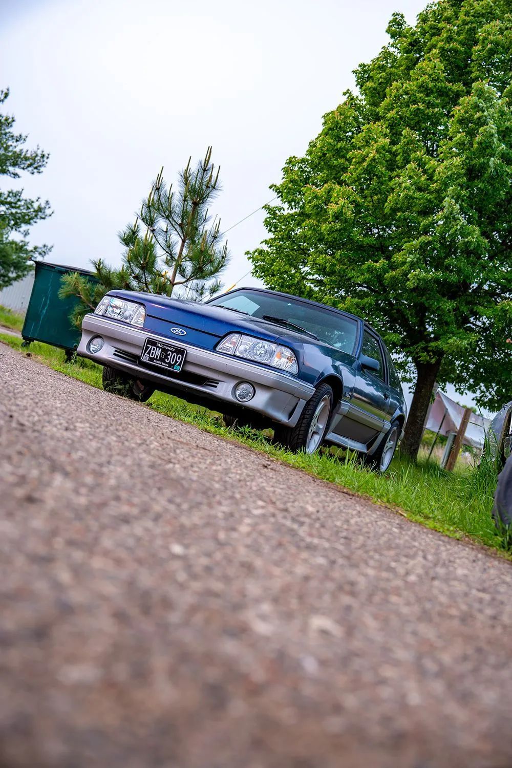 Blue Ford Mustang parked on a dirt road, next to grass and a large green tree, under a cloudy sky.