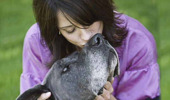 Woman kissing a dog