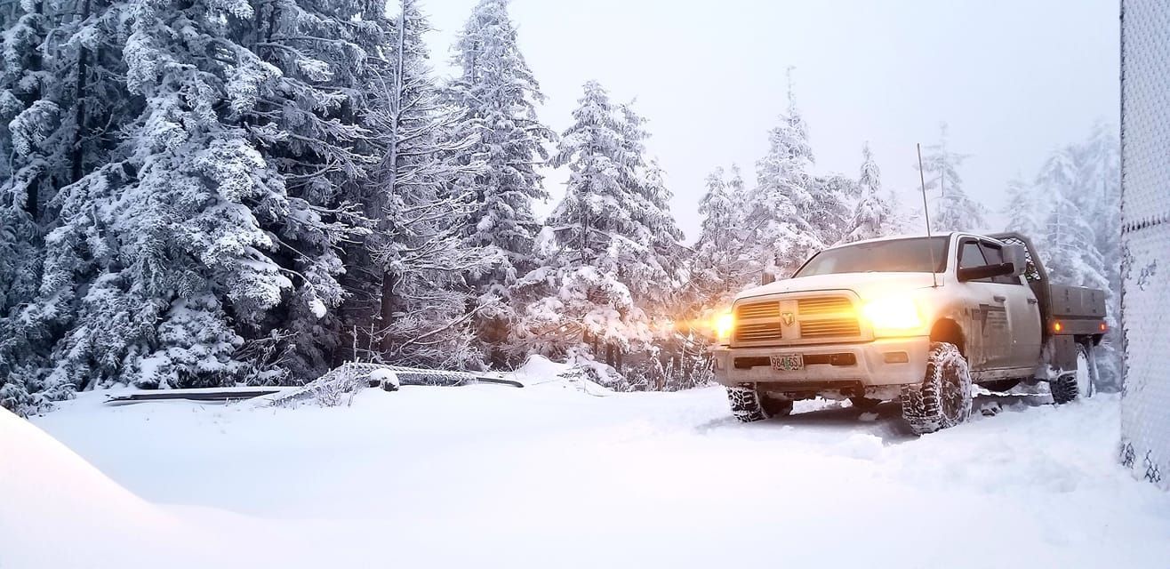 A snowy scene with a truck driving through a snow-covered forest, headlights on.