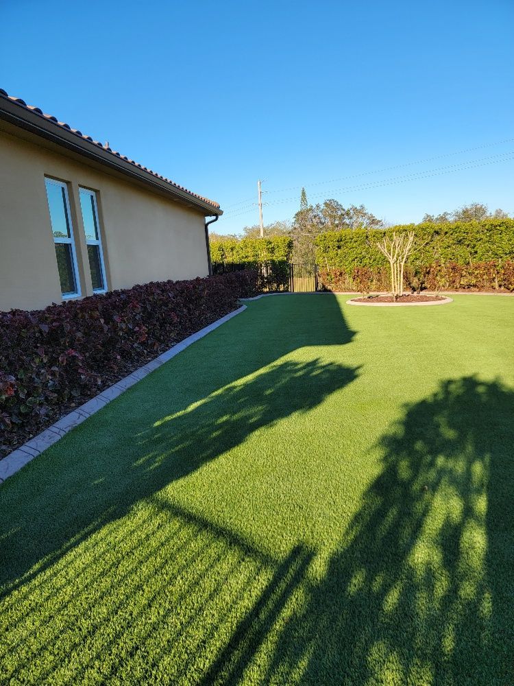 Green lawn and a house